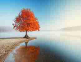 js写‌服﻿务﻿器​端‌